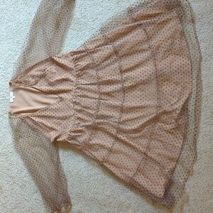 Elegant Polka Dot Mesh Dress